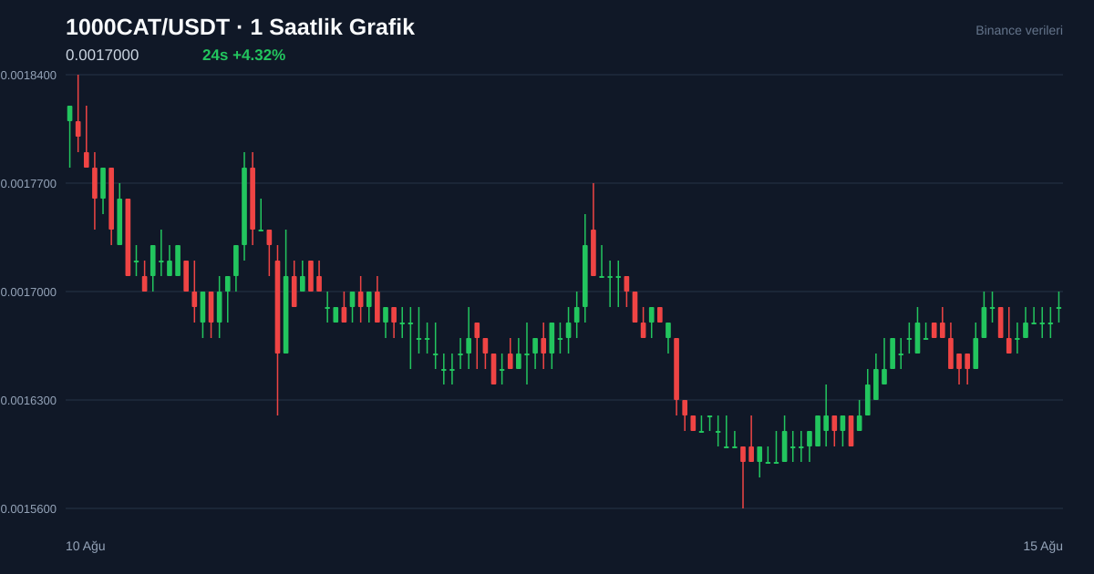 1000CAT/USDT 1 saatlik statik fiyat grafiği