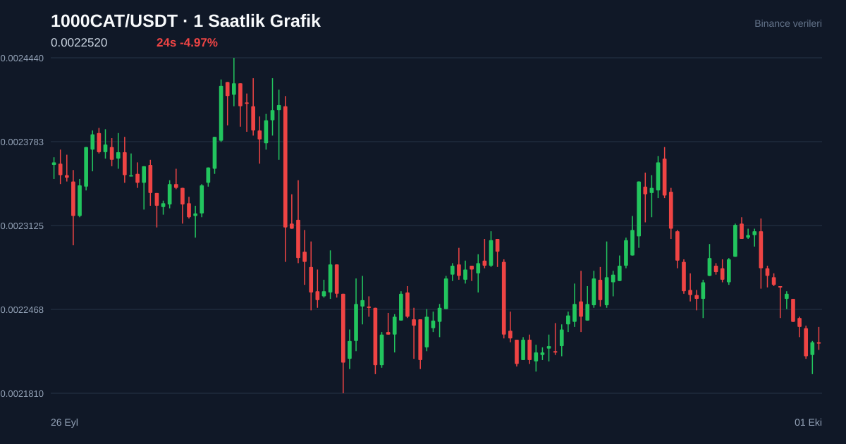 1000CAT/USDT 1 saatlik statik fiyat grafiği