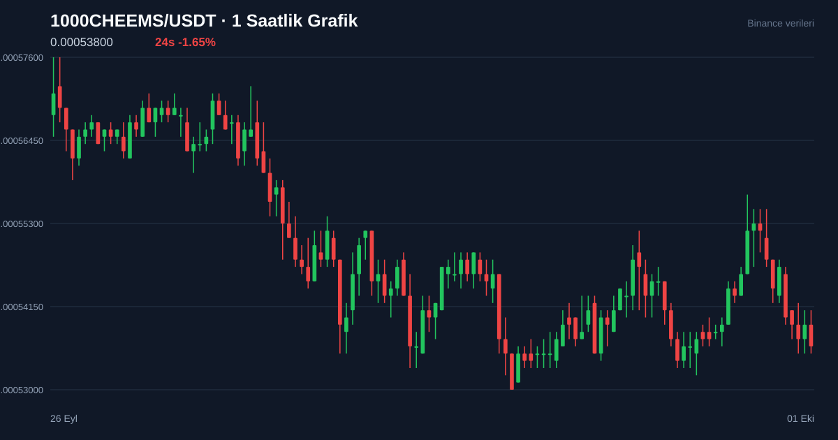 1000CHEEMS/USDT 1 saatlik statik fiyat grafiği