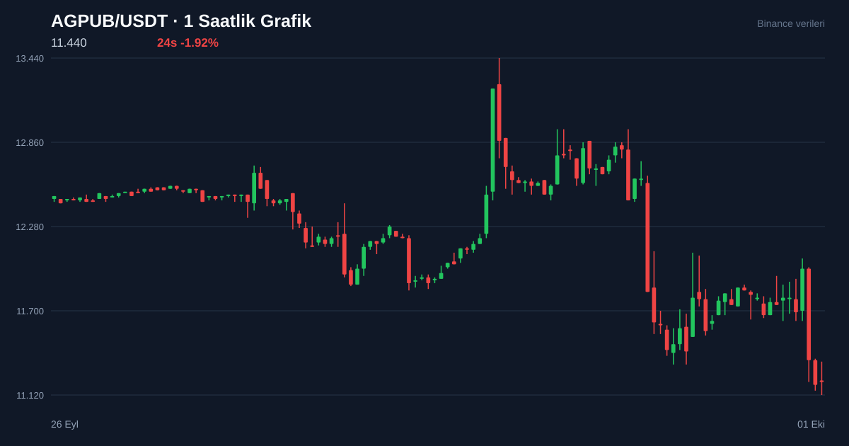 AGPUB/USDT 1 saatlik statik fiyat grafiği