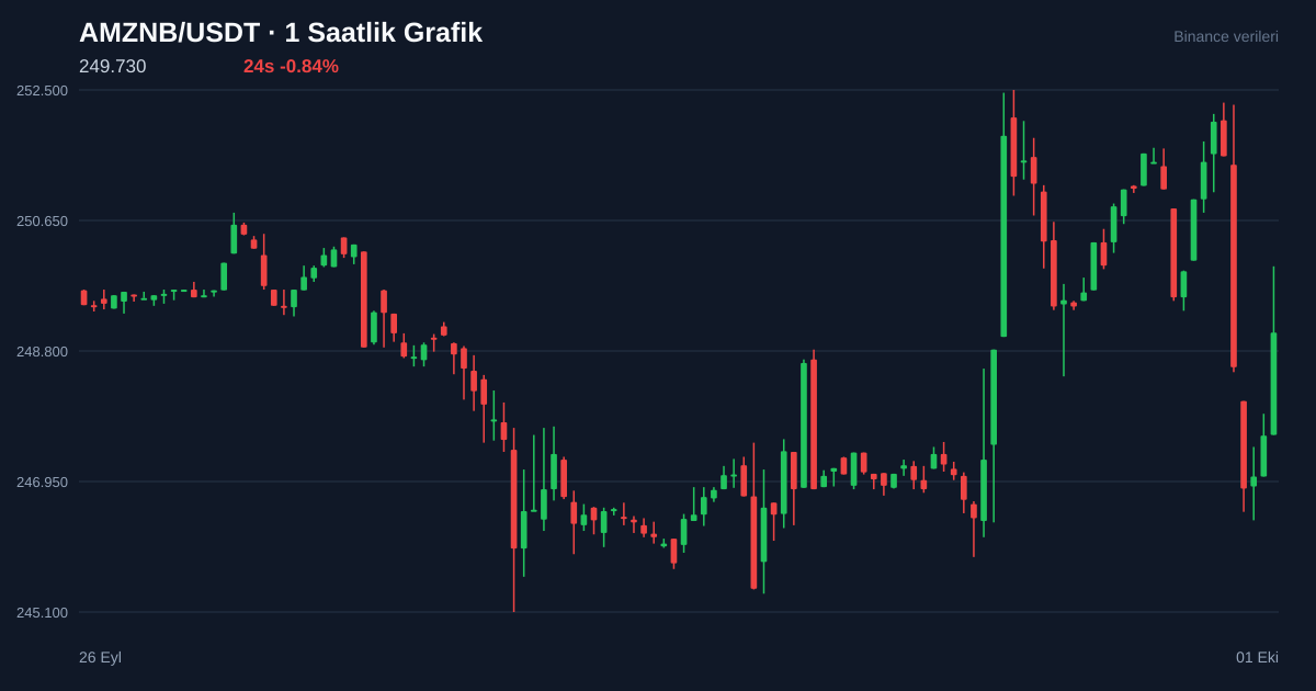 AMZNB/USDT 1 saatlik statik fiyat grafiği
