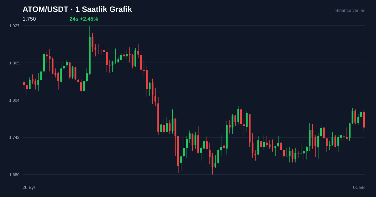 ATOM/USDT 1 saatlik statik fiyat grafiği