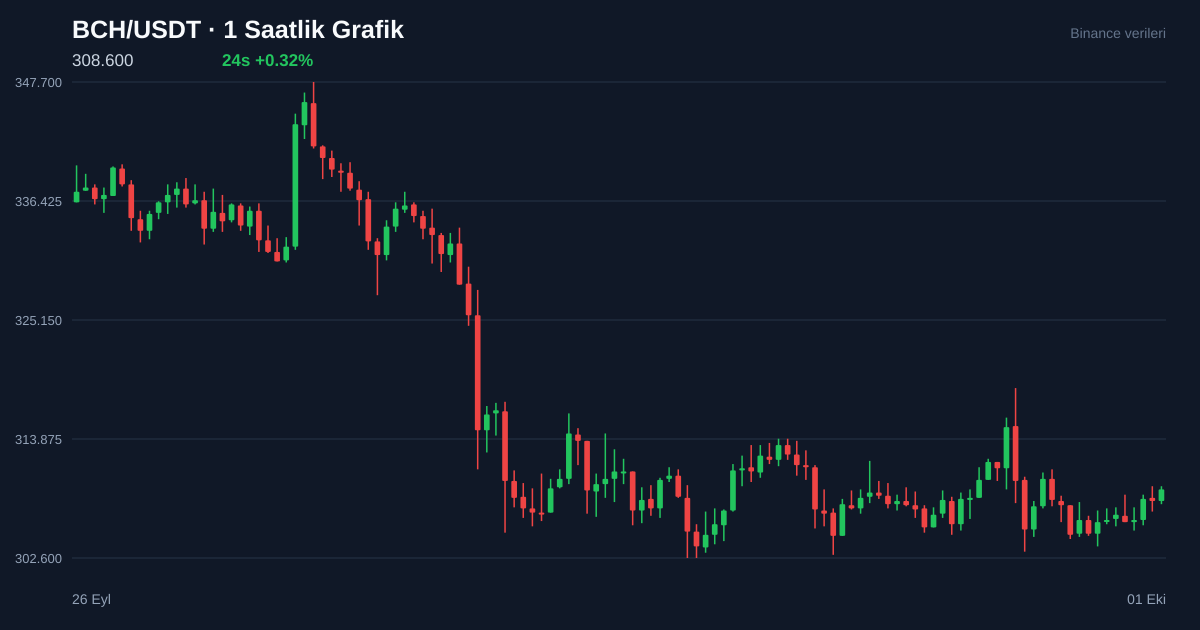 BCH/USDT 1 saatlik statik fiyat grafiği