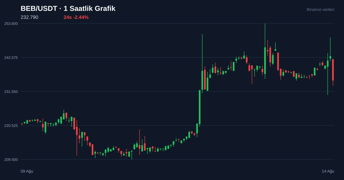 BEB/USDT 1 saatlik statik fiyat grafiği