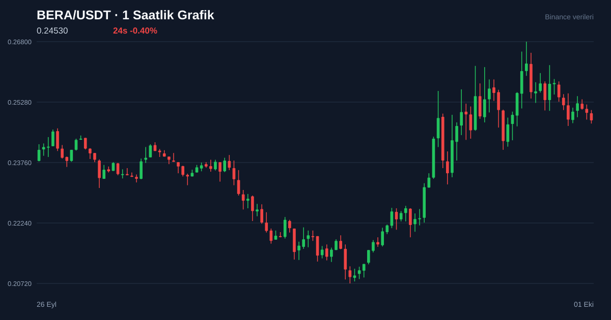BERA/USDT 1 saatlik statik fiyat grafiği