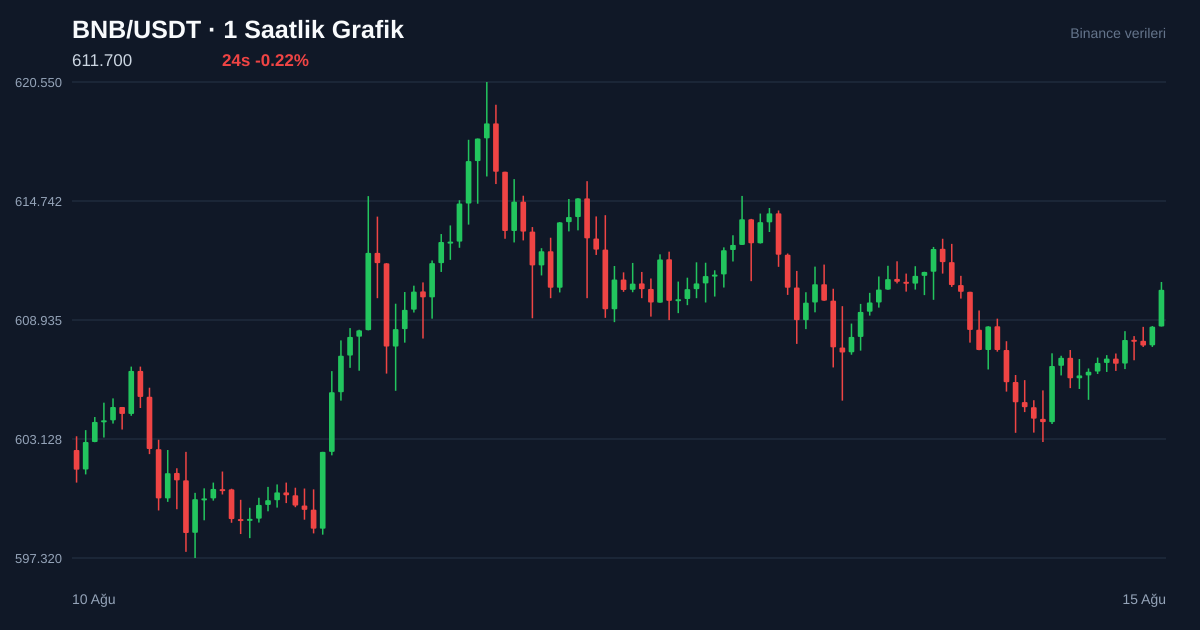 BNB/USDT 1 saatlik statik fiyat grafiği