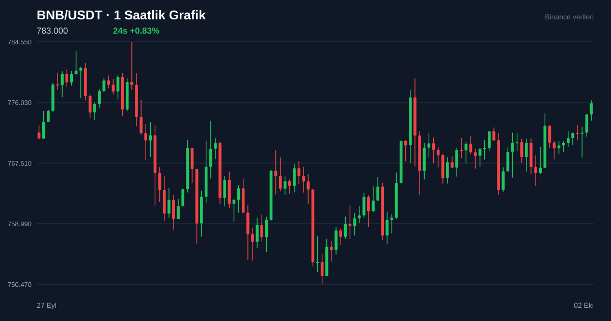 BNB/USDT 1 saatlik statik fiyat grafiği