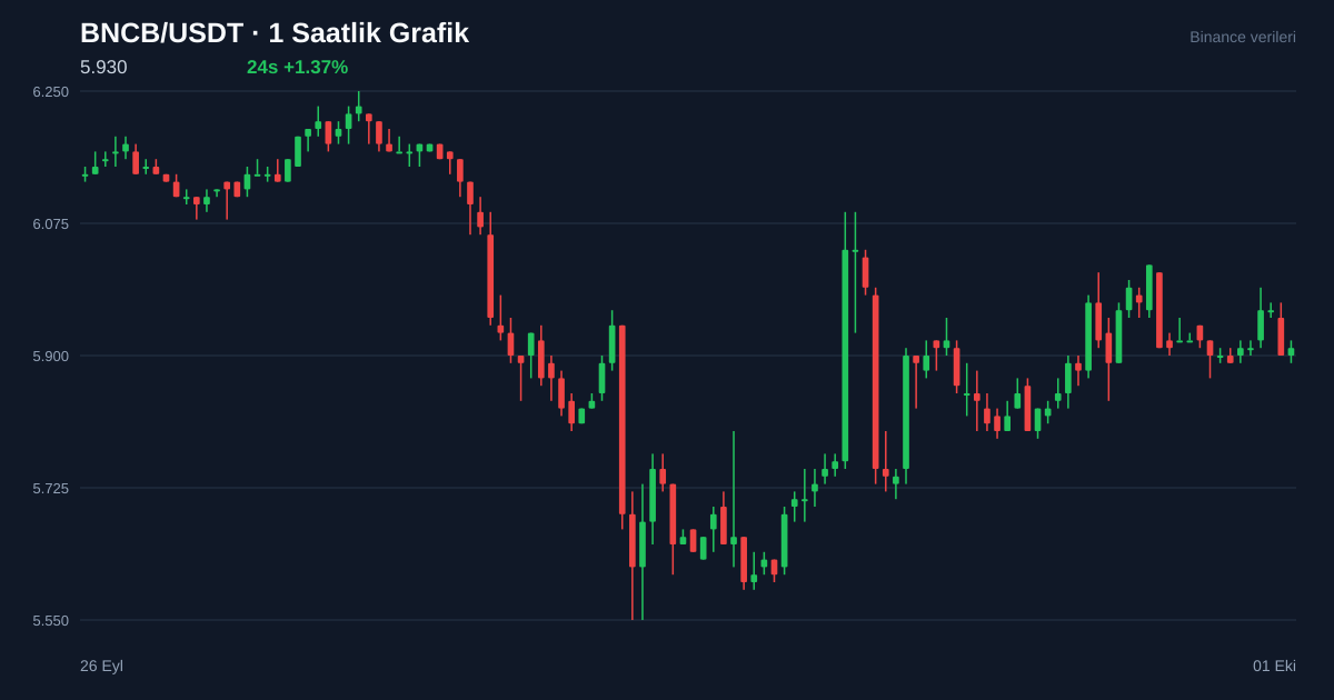 BNCB/USDT 1 saatlik statik fiyat grafiği