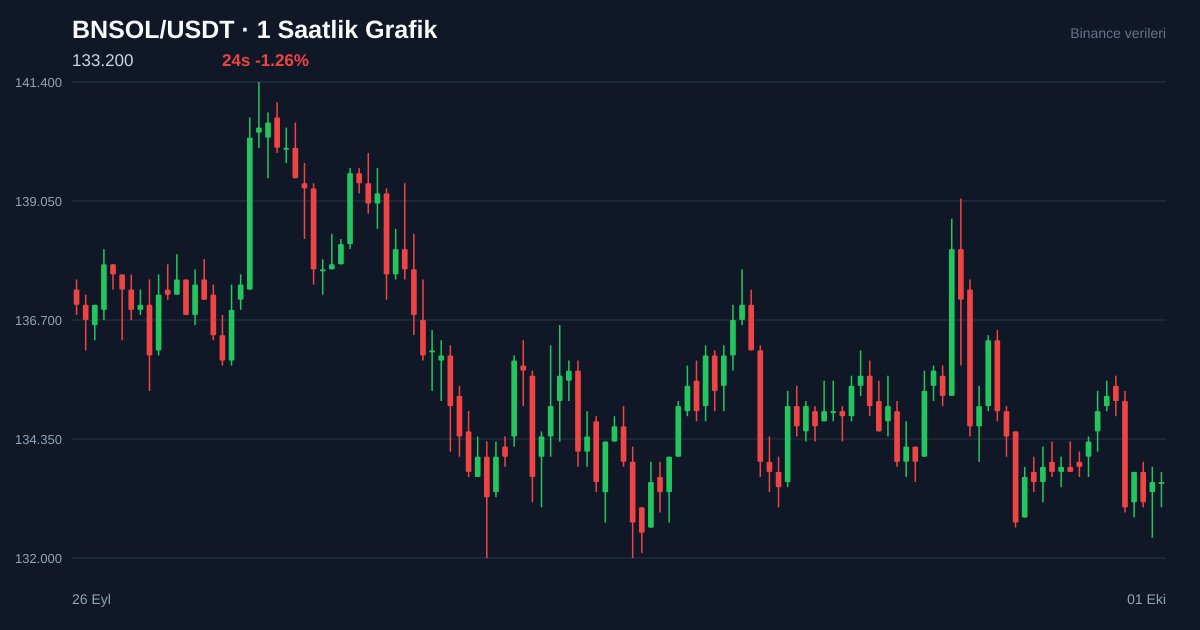 BNSOL/USDT 1 saatlik statik fiyat grafiği