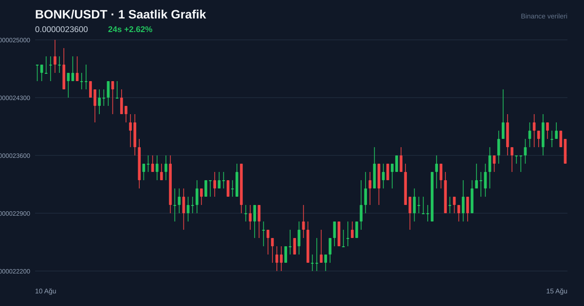 BONK/USDT 1 saatlik statik fiyat grafiği