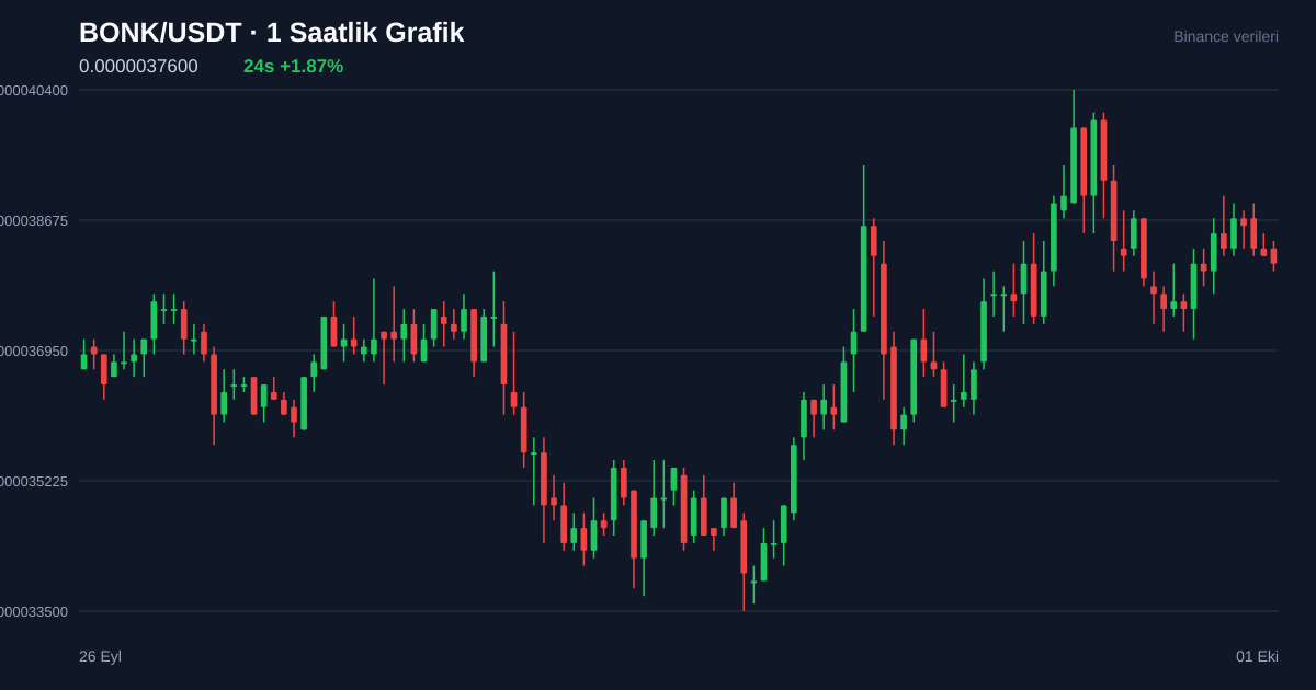 BONK/USDT 1 saatlik statik fiyat grafiği