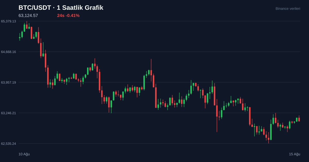 BTC/USDT 1 saatlik statik fiyat grafiği