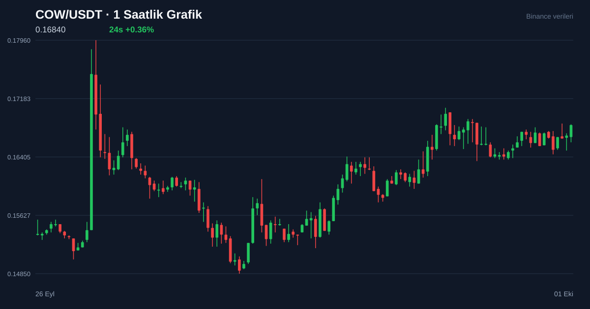 COW/USDT 1 saatlik statik fiyat grafiği