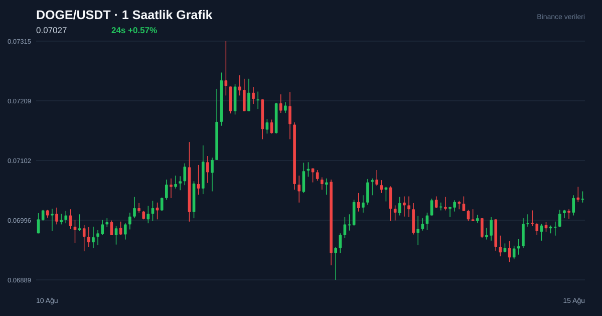 DOGE/USDT 1 saatlik statik fiyat grafiği