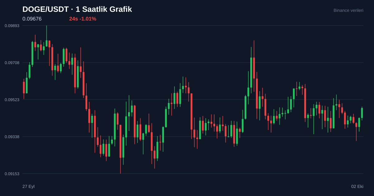 DOGE/USDT 1 saatlik statik fiyat grafiği