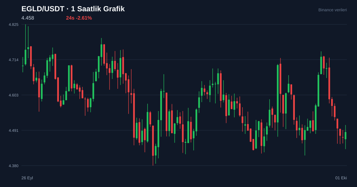 EGLD/USDT 1 saatlik statik fiyat grafiği
