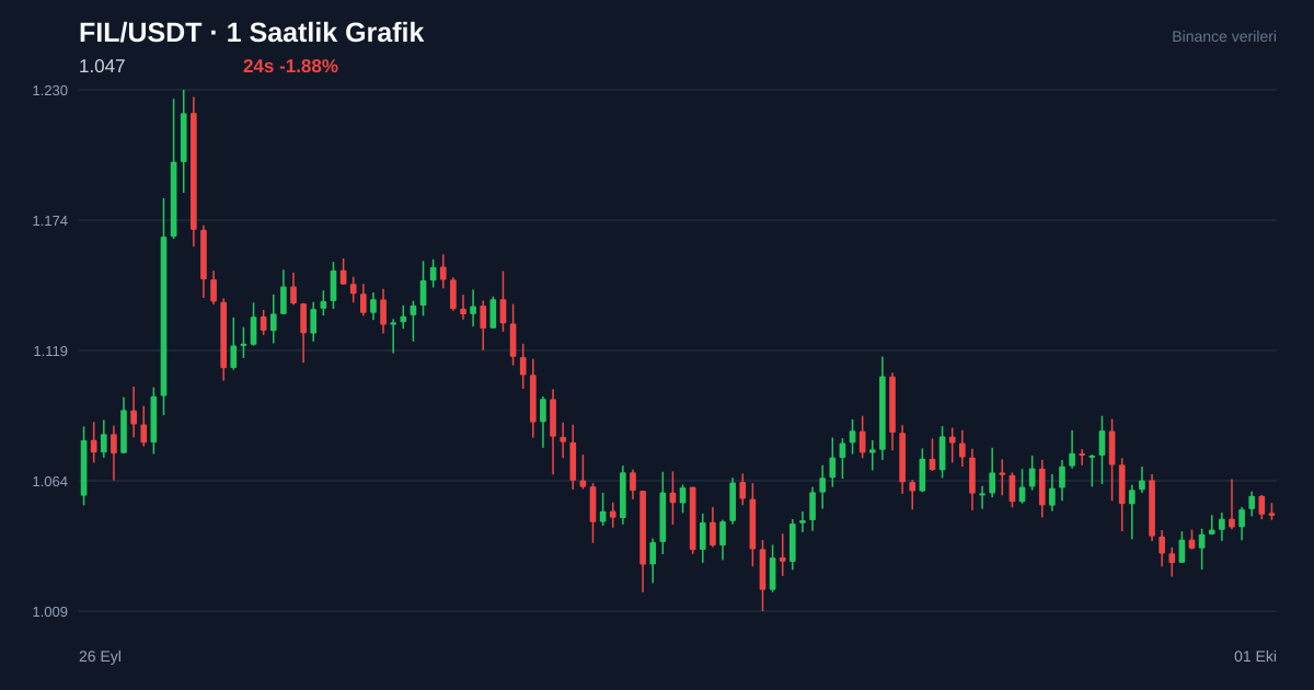 FIL/USDT 1 saatlik statik fiyat grafiği