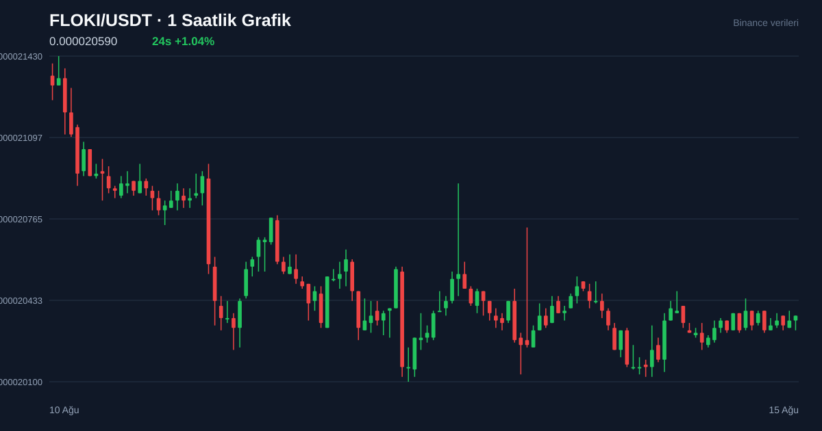 FLOKI/USDT 1 saatlik statik fiyat grafiği