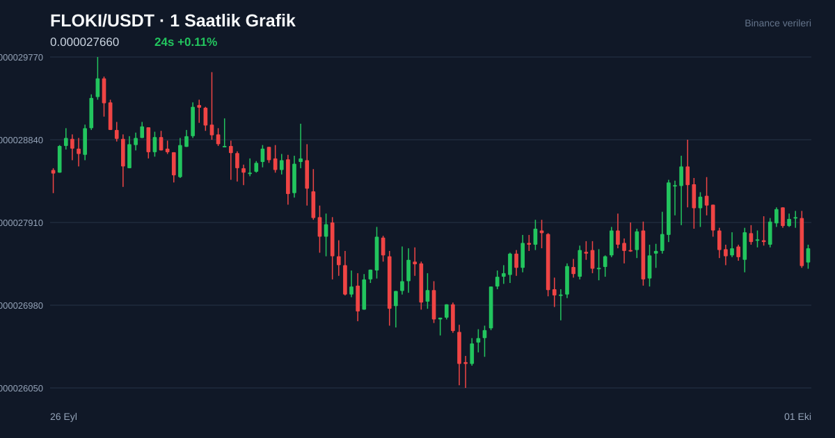 FLOKI/USDT 1 saatlik statik fiyat grafiği