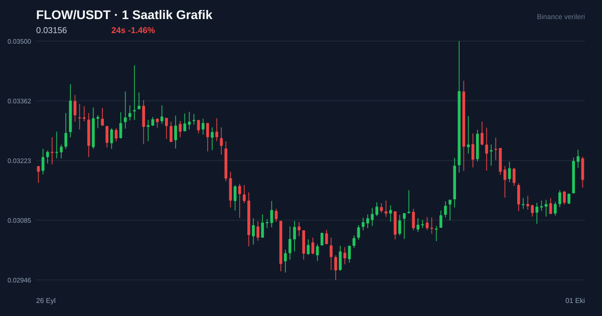 FLOW/USDT 1 saatlik statik fiyat grafiği