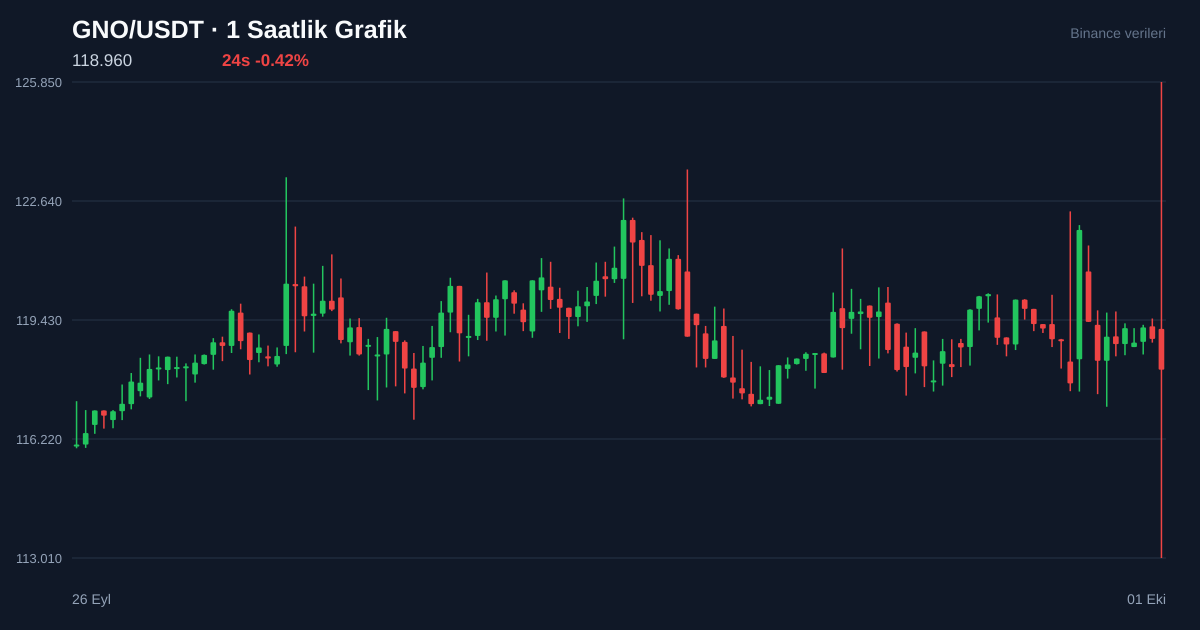 GNO/USDT 1 saatlik statik fiyat grafiği