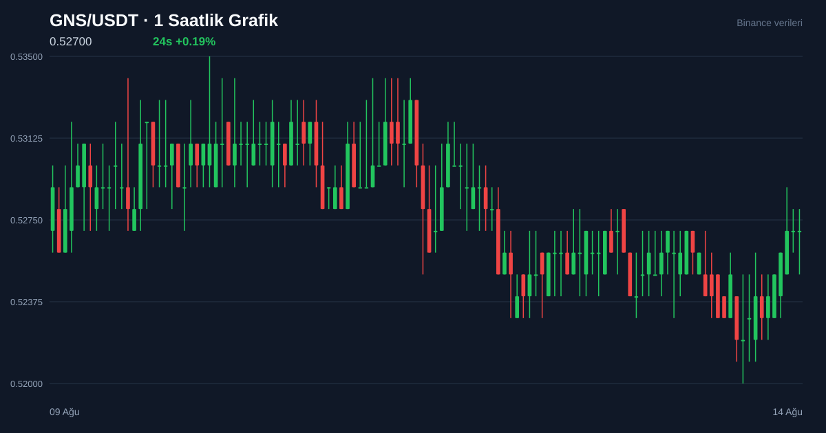 GNS/USDT 1 saatlik statik fiyat grafiği
