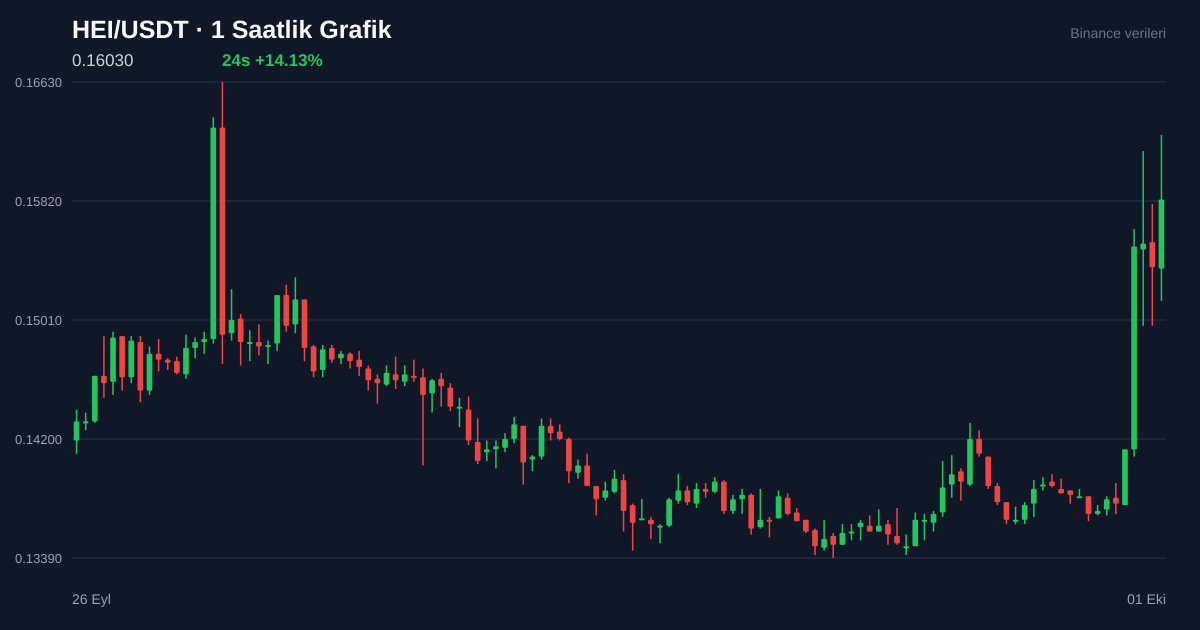 HEI/USDT 1 saatlik statik fiyat grafiği