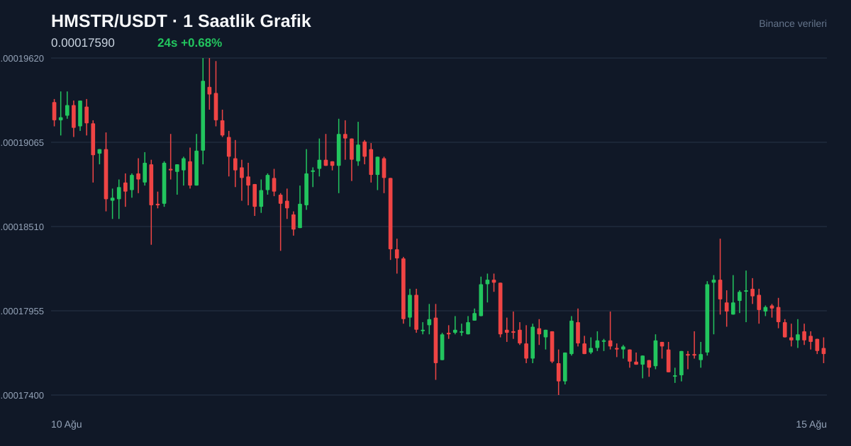 HMSTR/USDT 1 saatlik statik fiyat grafiği
