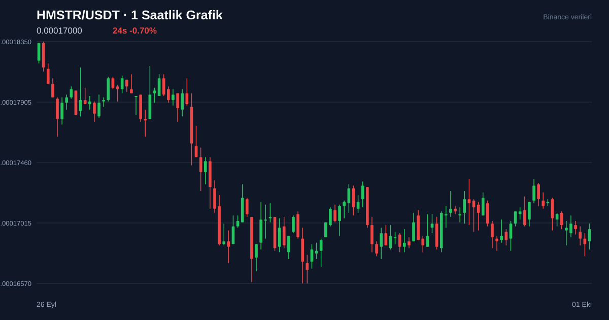 HMSTR/USDT 1 saatlik statik fiyat grafiği