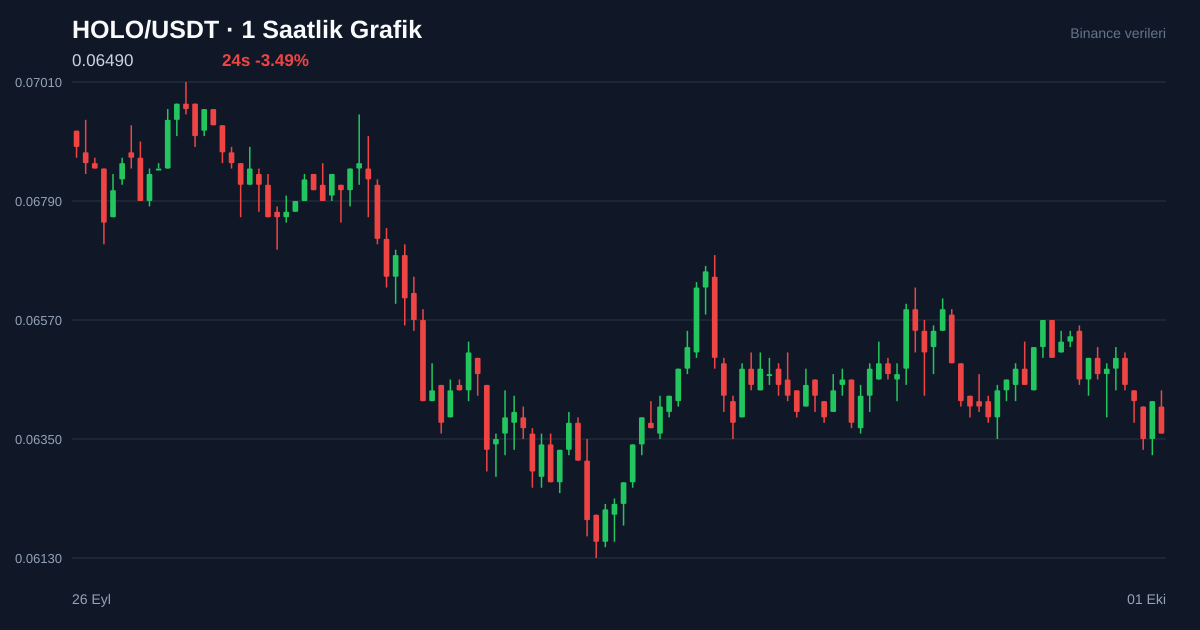 HOLO/USDT 1 saatlik statik fiyat grafiği