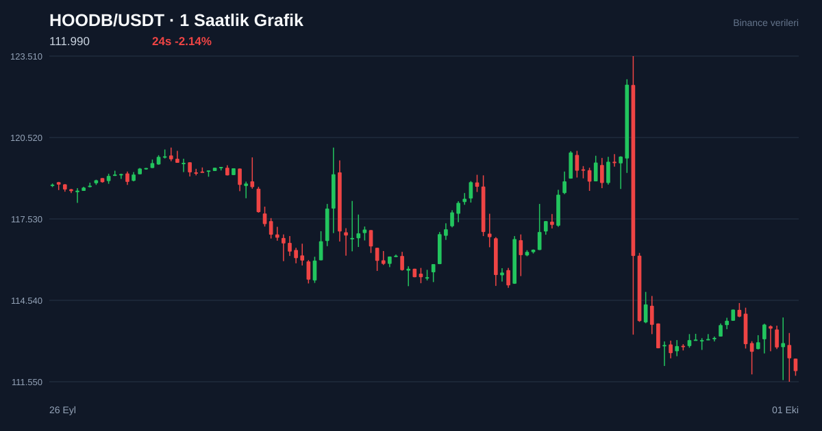 HOODB/USDT 1 saatlik statik fiyat grafiği