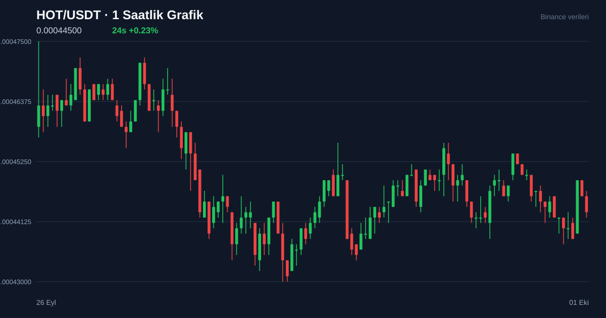 HOT/USDT 1 saatlik statik fiyat grafiği