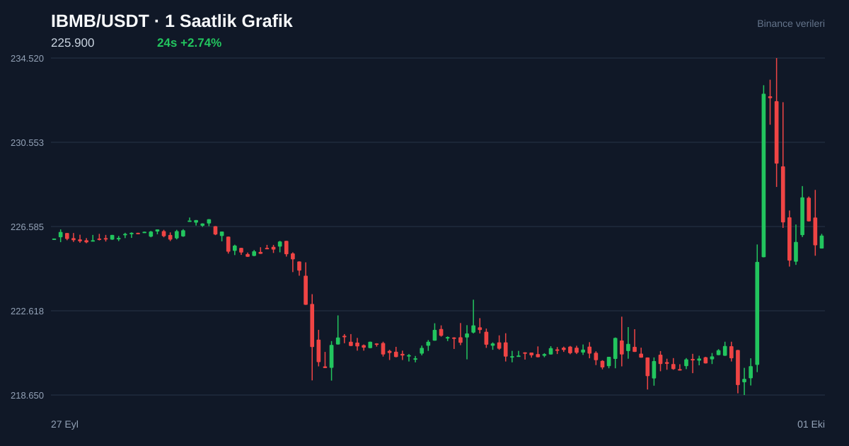 IBMB/USDT 1 saatlik statik fiyat grafiği