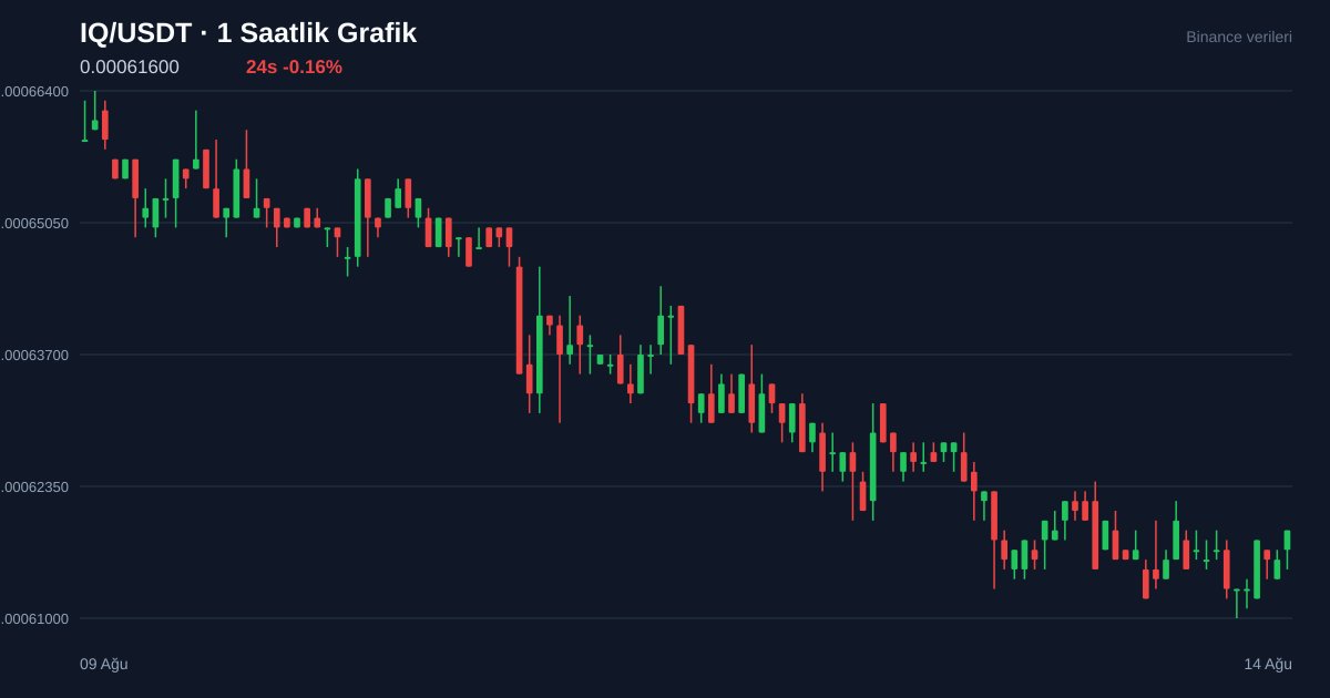 IQ/USDT 1 saatlik statik fiyat grafiği