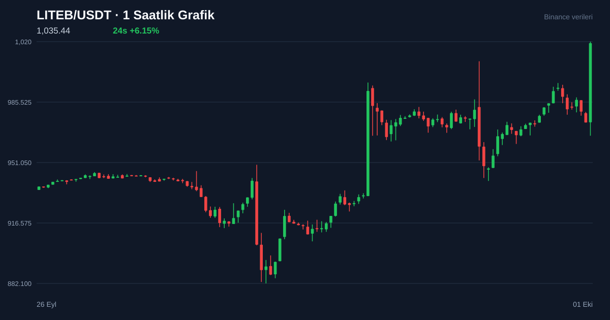 LITEB/USDT 1 saatlik statik fiyat grafiği