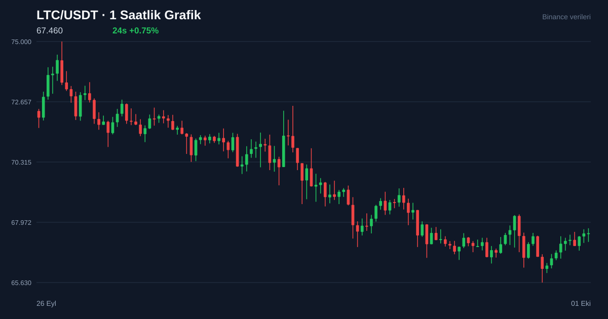 LTC/USDT 1 saatlik statik fiyat grafiği