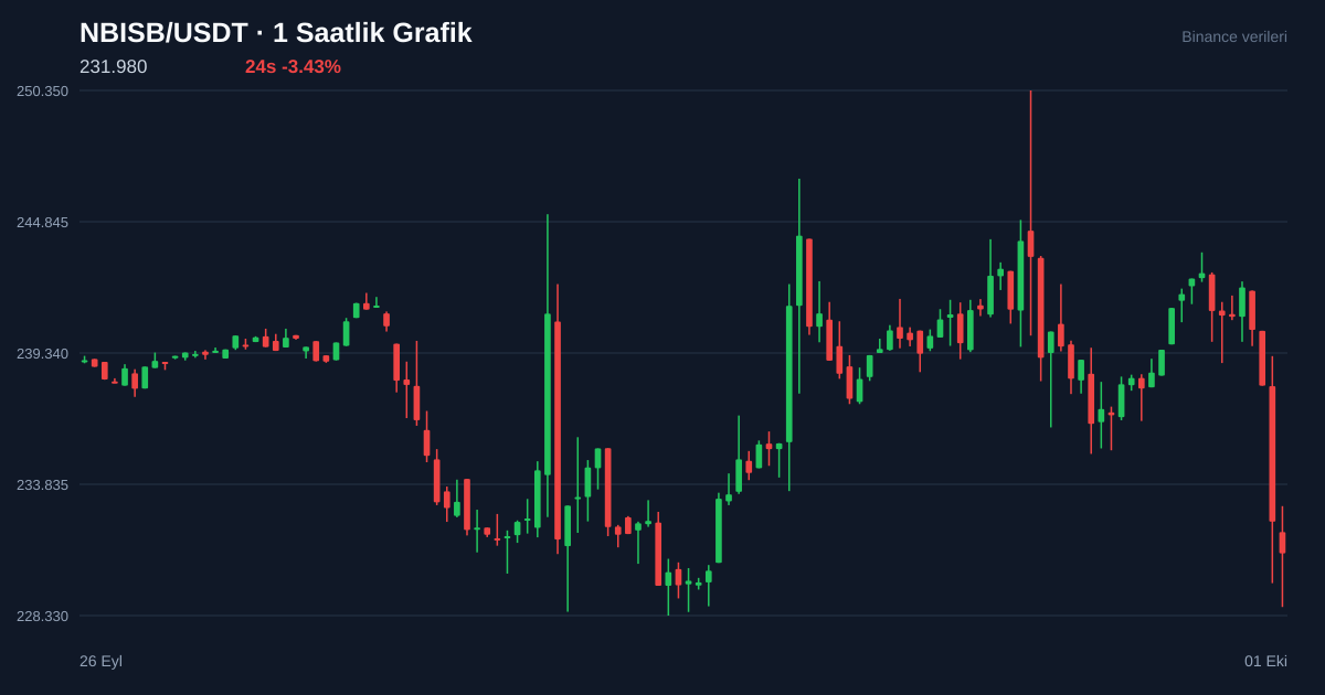 NBISB/USDT 1 saatlik statik fiyat grafiği