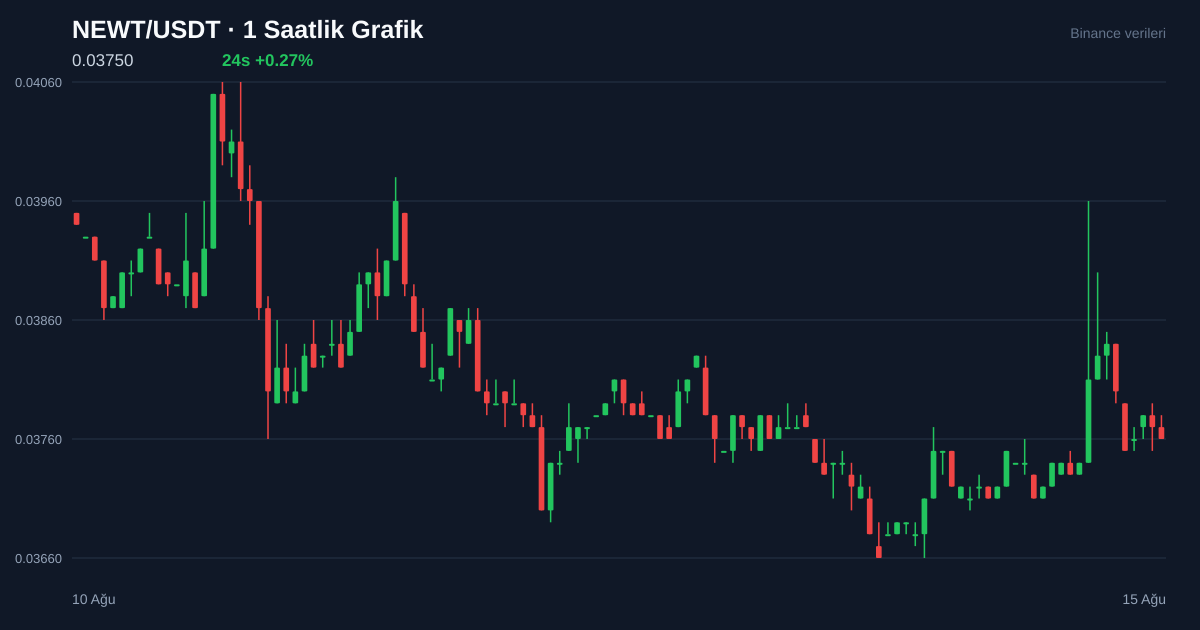 NEWT/USDT 1 saatlik statik fiyat grafiği