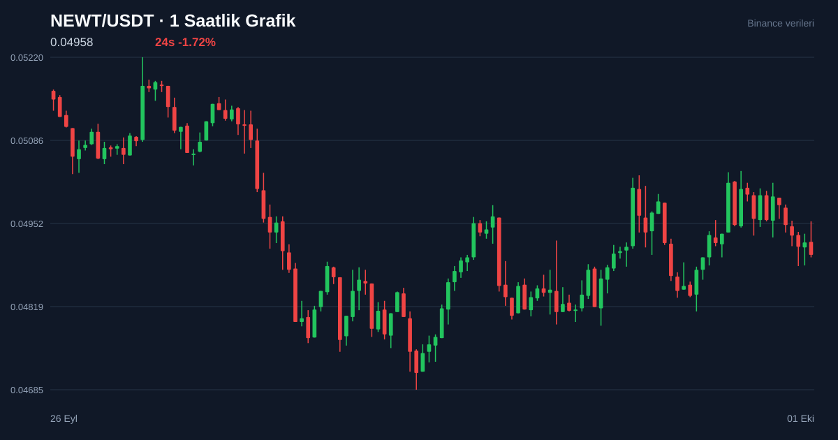 NEWT/USDT 1 saatlik statik fiyat grafiği