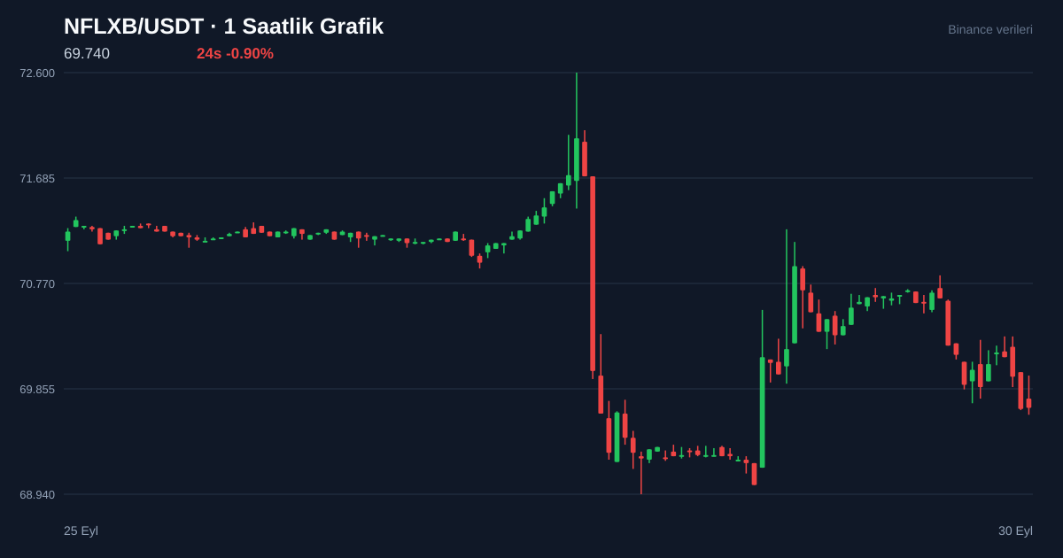 NFLXB/USDT 1 saatlik statik fiyat grafiği