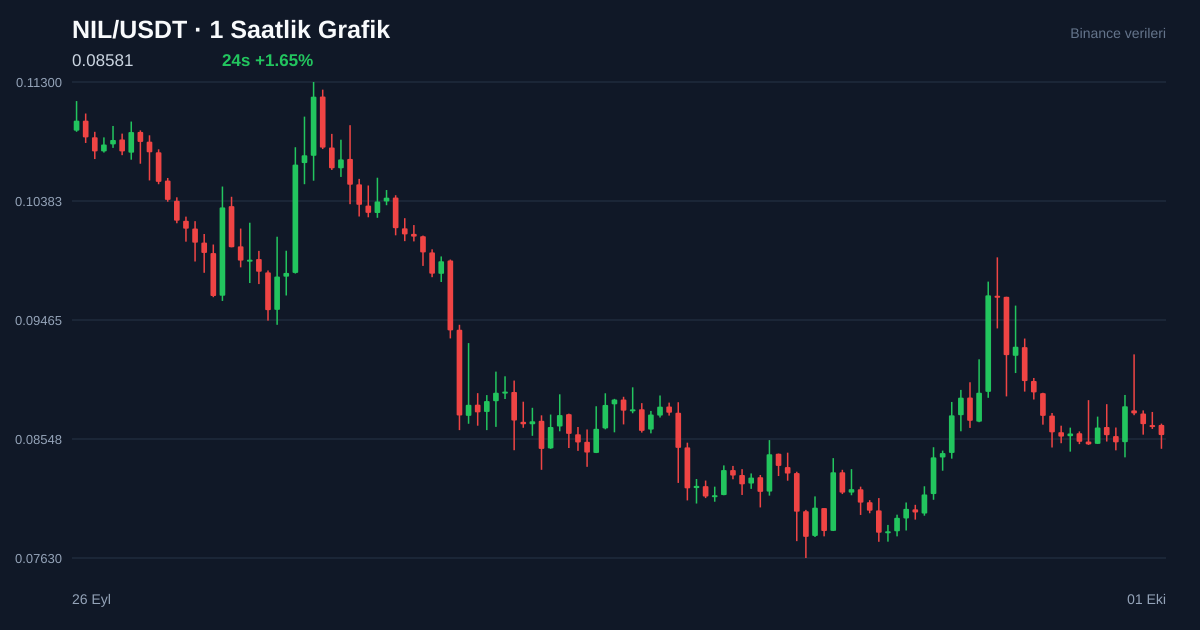 NIL/USDT 1 saatlik statik fiyat grafiği