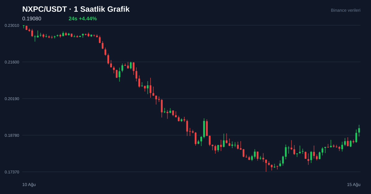 NXPC/USDT 1 saatlik statik fiyat grafiği
