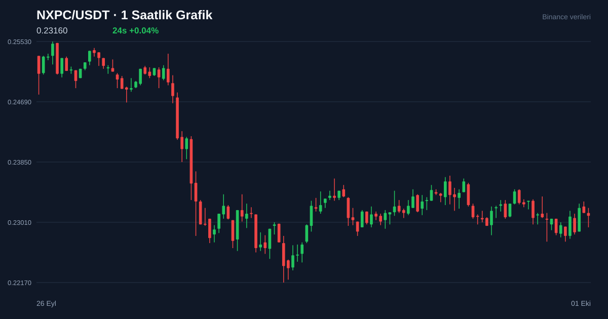 NXPC/USDT 1 saatlik statik fiyat grafiği