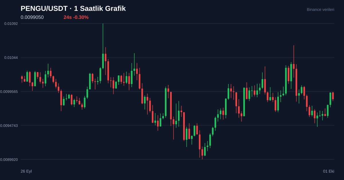 PENGU/USDT 1 saatlik statik fiyat grafiği