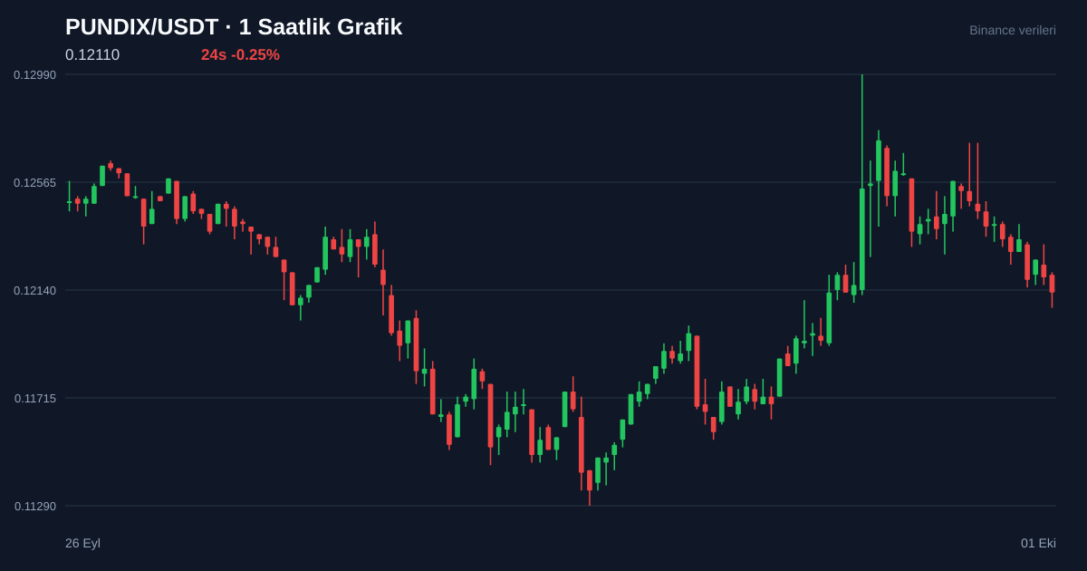 PUNDIX/USDT 1 saatlik statik fiyat grafiği