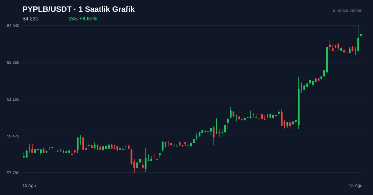 PYPLB/USDT 1 saatlik statik fiyat grafiği
