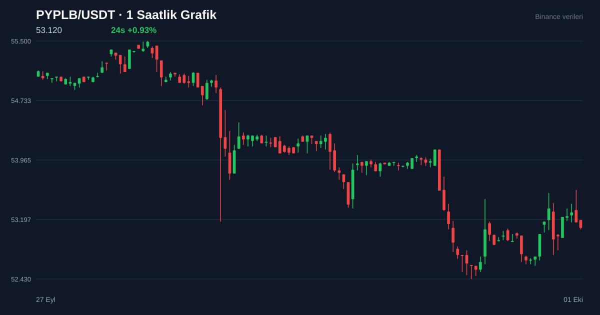 PYPLB/USDT 1 saatlik statik fiyat grafiği