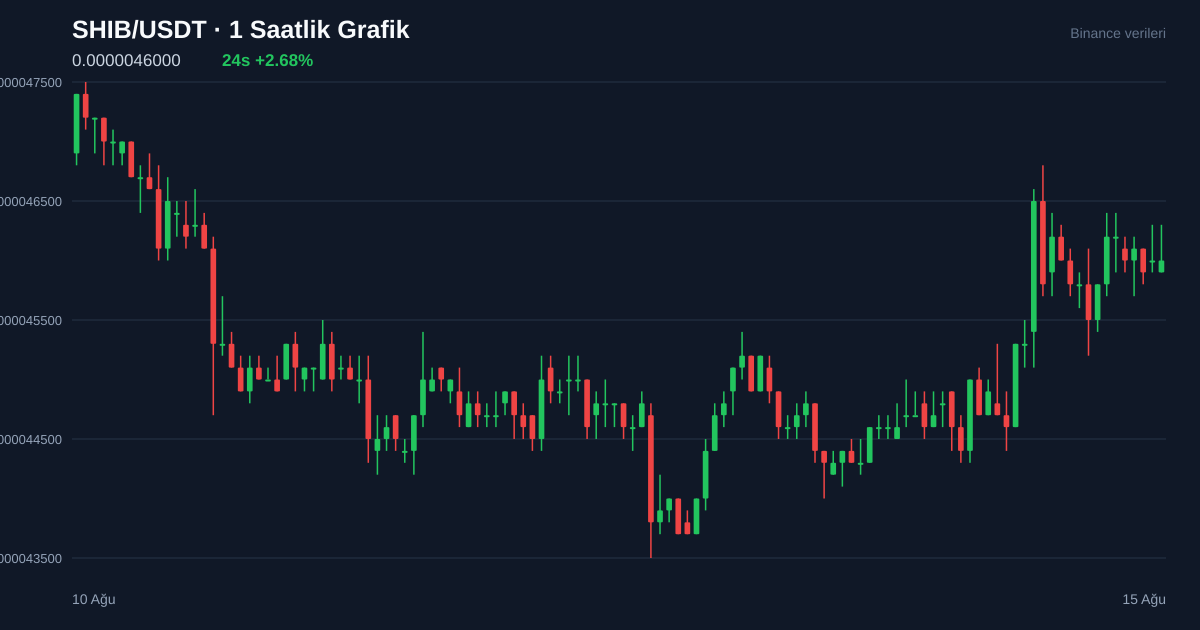SHIB/USDT 1 saatlik statik fiyat grafiği