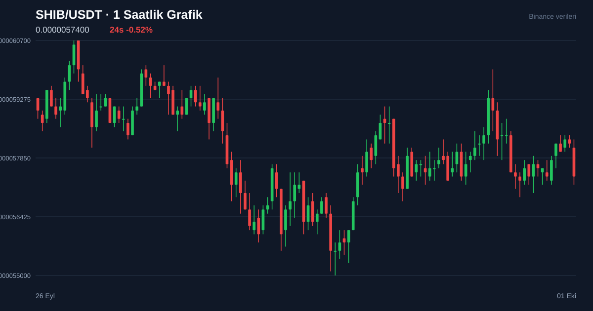 SHIB/USDT 1 saatlik statik fiyat grafiği