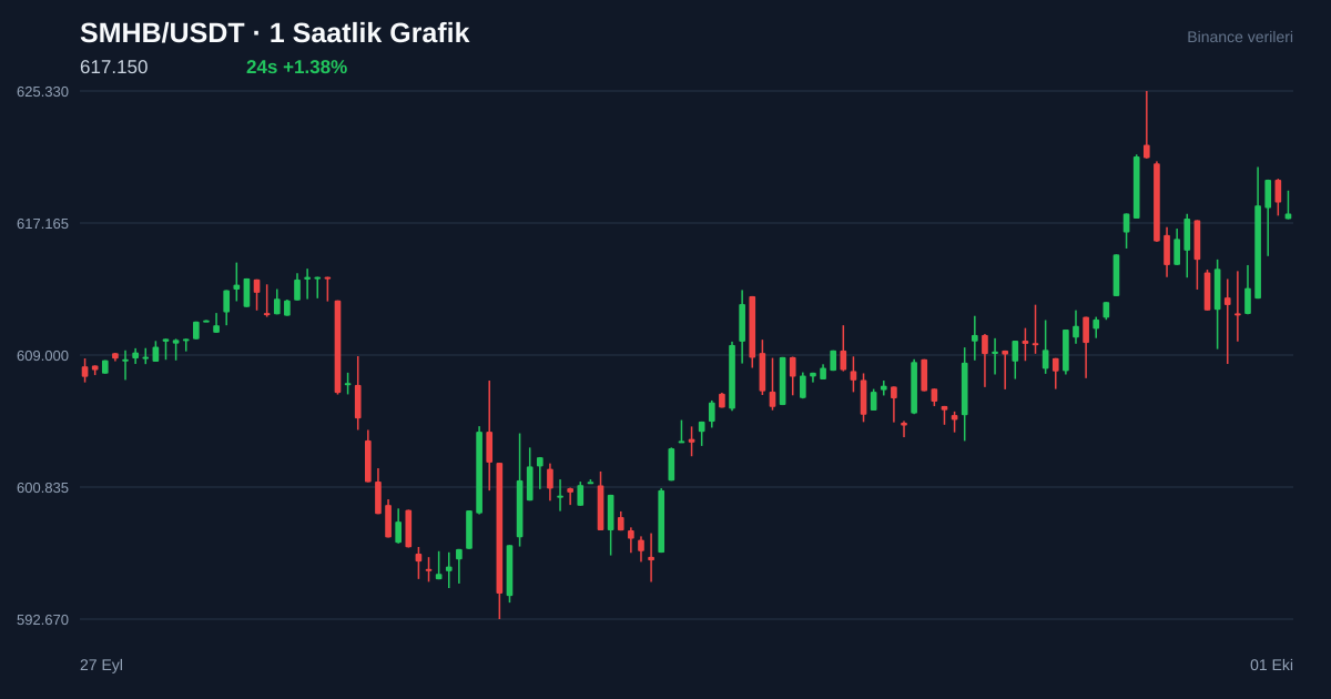 SMHB/USDT 1 saatlik statik fiyat grafiği